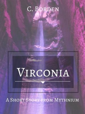 Cover of the book Virconia by Evan Hughes