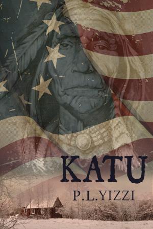 bigCover of the book Katu by 
