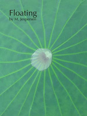 Cover of the book Floating by Mitchell Jespersen