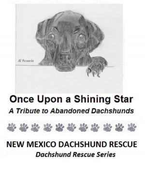 Cover of Once Upon a Shining Star