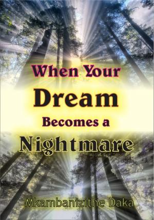 Cover of the book When Your Dream Becomes A Nightmare by K H Wang