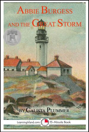 Cover of the book Abbie Burgess And The Great Storm by Calista Plummer