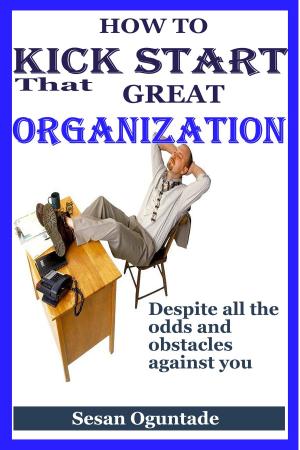 Cover of the book How to Kick Start That Great Organisation Despite All the Odds and Obstacles Against You by Doris Noble