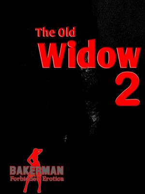 Book cover of The Old Widow 2