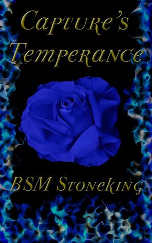 Cover of the book Capture's Temperance by Cory Silverman