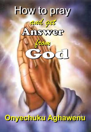 Cover of the book How To Pray And Get Answer From God by GoodFriday Aghawenu Ph.D