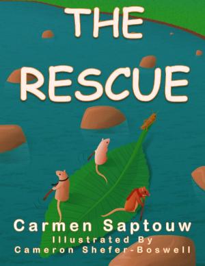 Book cover of The Rescue
