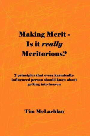 Cover of the book Making Merit: Is it really Meritorious? by Adam Savage