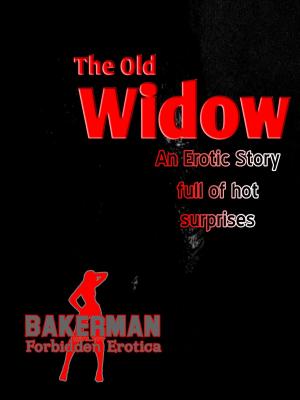 Book cover of The Old Widow