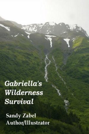 Book cover of Gabriella’s Wilderness Survival