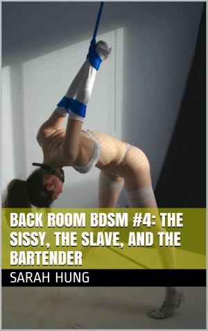 Cover of the book Back Room BDSM #4: The Sissy, the Slave, and the Bartender by Aaron Sans