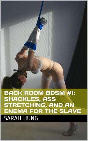 Cover of the book Back Room BDSM #1: Shackles, Ass Stretching, and an Enema for the Slave by Alex Hardin
