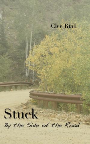 Book cover of Stuck by the Side of the Road