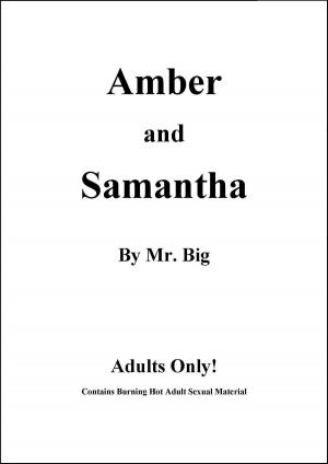 Cover of the book Amber and Samantha by Rick A. Wilcox