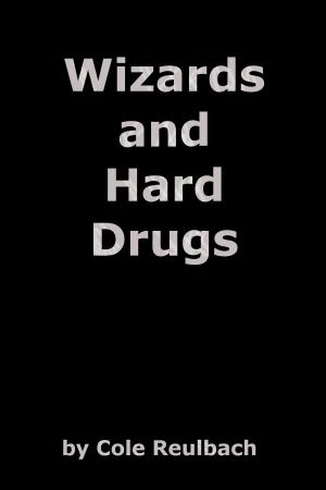 Cover of the book Wizards and Hard Drugs by Andrew Barger