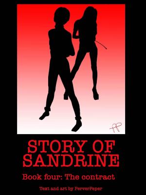 Book cover of Story of Sandrine Book 4