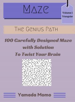 Cover of the book Maze Triangular design Vol. 1 by Angel Burns