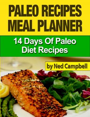 bigCover of the book Paleo Recipes Meal Plan: 14 Days Of Paleo Diet Recipes by 