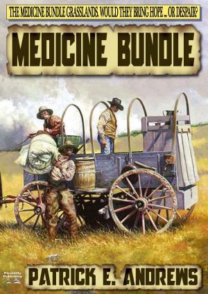 Cover of the book Medicine Bundle by John Benteen