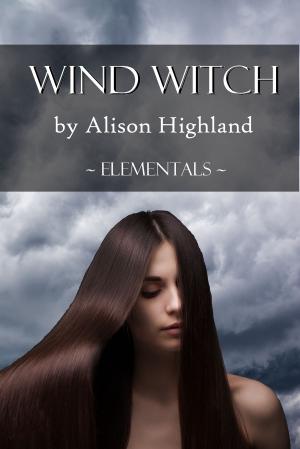 Book cover of Wind Witch