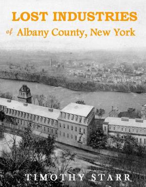 Book cover of Lost Industries of Albany County, New York