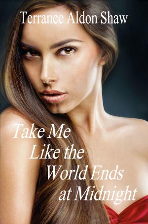 Book cover of Take Me Like the World Ends at Midnight