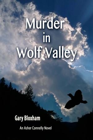 Cover of the book Murder in Wolf Valley by R.L. Herron