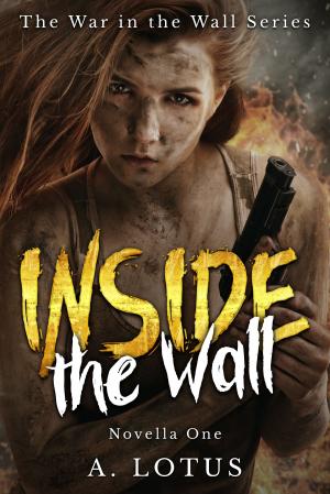 Cover of INSIDE The Wall (Novella One in the War in the Wall Series)