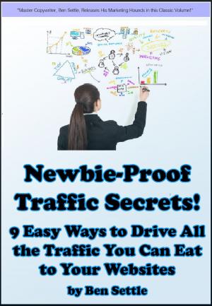 Cover of the book Newbie-Proof Traffic Secrets: 9 Easy Ways to Drive All the Traffic You Can Eat to Your Websites by Ben Settle
