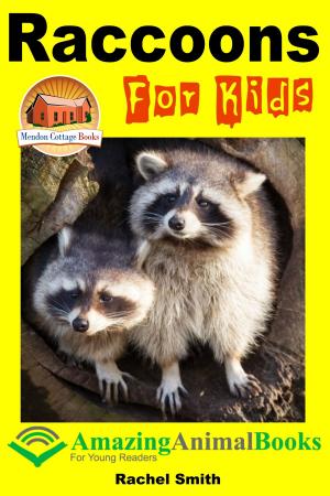 Cover of the book Raccoons For Kids by Seldean Smith