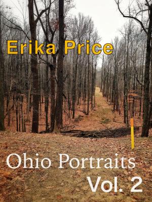 Book cover of Ohio Portraits Vol. 2: More Midwestern Micromemoirs