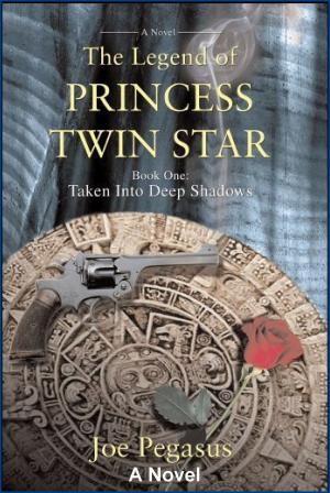 Cover of The Legend of Princess Twin Star: Book One: Taken Into Deep Shadows