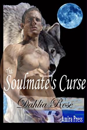 Book cover of The Soulmate's Curse