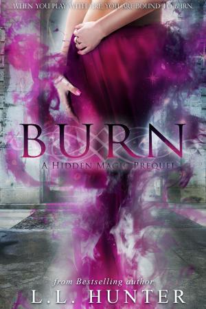 Cover of the book Burn by Mozart