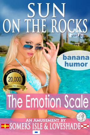 Cover of the book Sun on the Rocks: The Emotion Scale by Theo Selles, M.Sc.