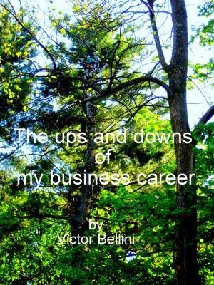 Book cover of The Ups And Downs Of My Business Career