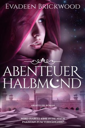 Book cover of Abenteuer Halbmond