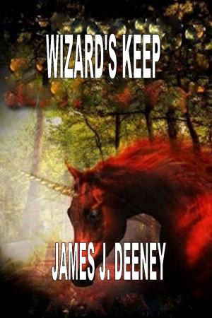 Cover of the book Wizards Keep by Justin Bedard