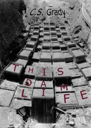 Cover of the book This Dam Life by Steve Stroble