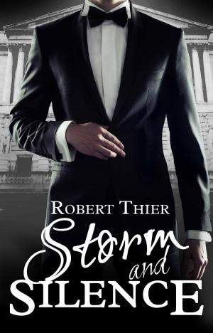 Book cover of Storm and Silence