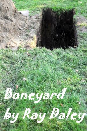 Cover of the book Boneyard by David Marusek