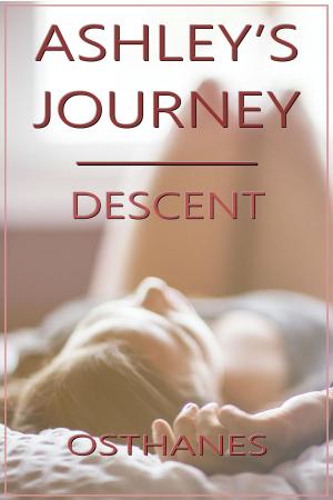 Book cover of Ashley's Journey: Descent