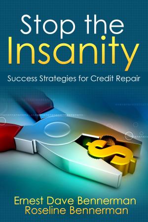 Cover of the book Stop the Insanity: Success Strategies for Credit Repair by Alan E. Boyer