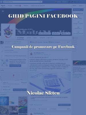 Cover of the book Ghid pagini Facebook: Campanii de promovare pe Facebook by Tonia Askins  and Victor Kwegyir