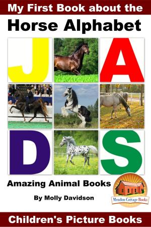 Cover of My First Book about the Horse Alphabet: Amazing Animal Books - Children's Picture Books