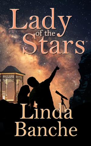 Book cover of Lady of the Stars