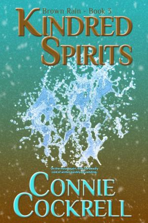 Cover of the book Kindred Spirits by Mark Edwards