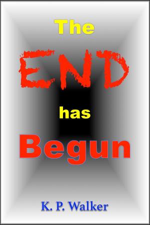 Cover of The End Has Begun