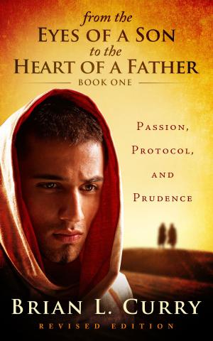 Book cover of From the Eyes of a Son to the Heart of a Father: Passion, Protocol, and Prudence