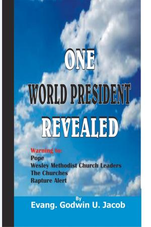 Book cover of One World President Revealed